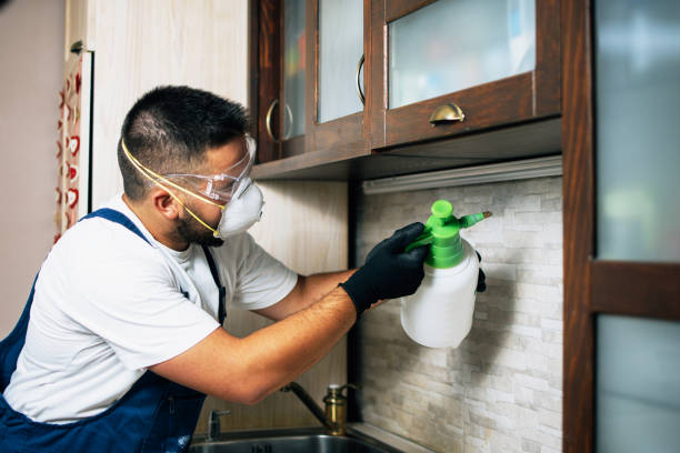  Cottage Grove, OR Pest Control Pros