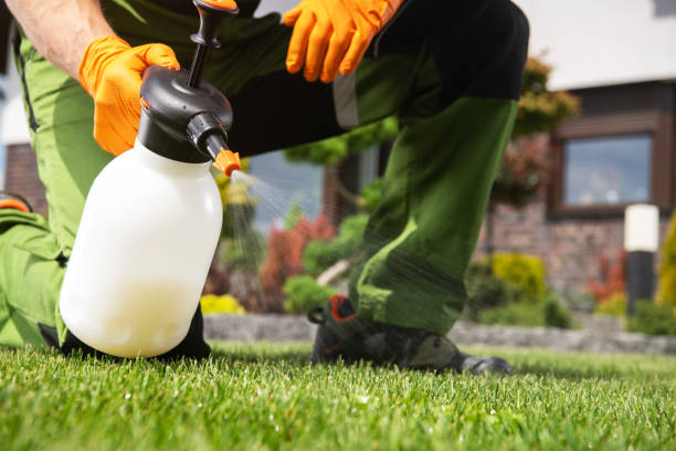 Best Insect Control  in Cottage Grove, OR