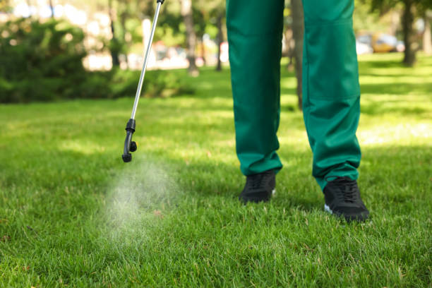 Best Pest Removal Services  in Cottage Grove, OR
