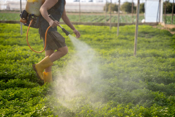 Best Wildlife Control Services  in Cottage Grove, OR