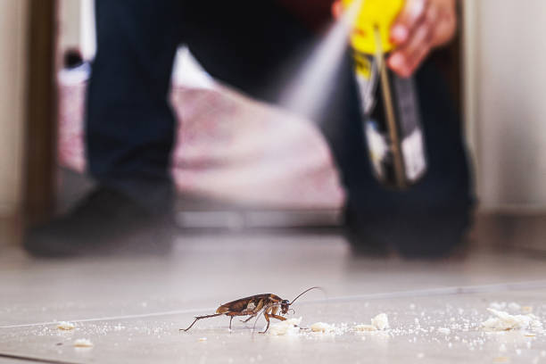 Best Best Pest Control Companies  in Cottage Grove, OR