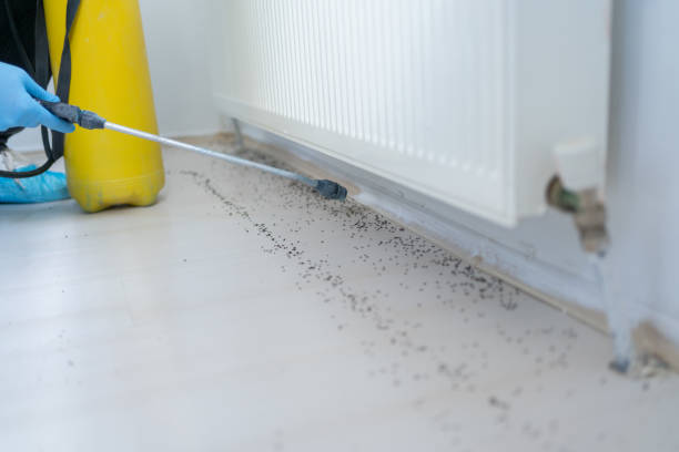 Best Pest Control Near Me in Cottage Grove, OR