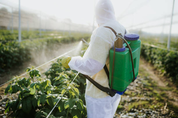 Best Commercial Pest Control Services  in Cottage Grove, OR